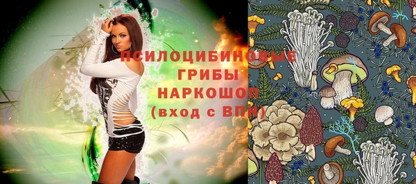 ГАЛЛЮЦИНОГЕННЫЕ ГРИБЫ Горнозаводск