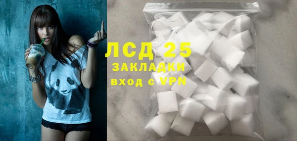 PSILOCYBIN Вязьма