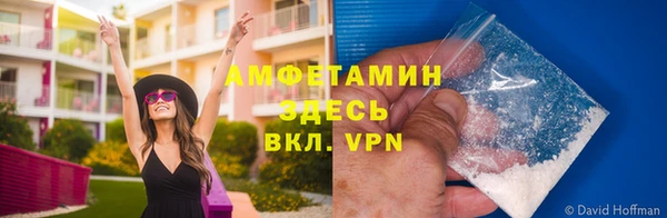 сатива Дмитров