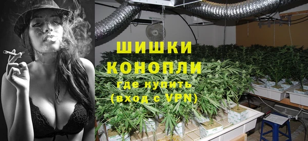 сатива Дмитров