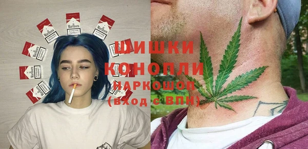 винт Горно-Алтайск