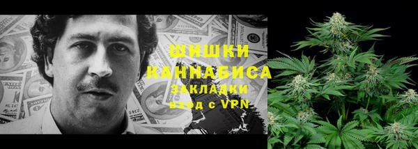 мяу мяу мука Дмитриев