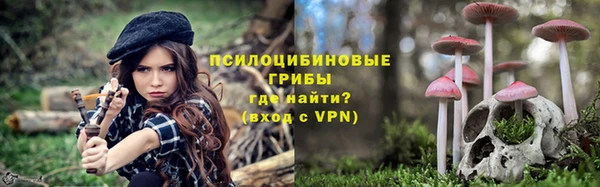 соль ск Горняк