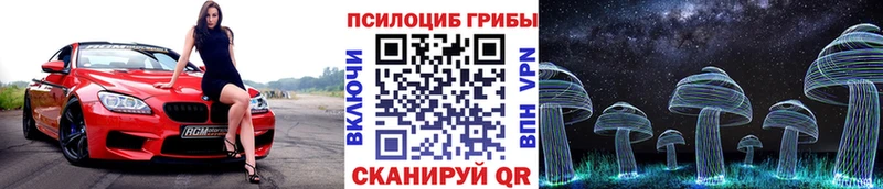 Галлюциногенные грибы мицелий  кракен как зайти  Дигора  магазин продажи  