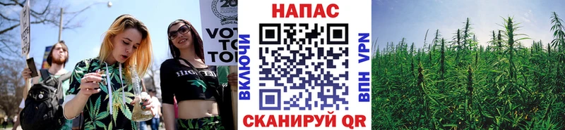 Каннабис Amnesia хочу наркоту Дигора